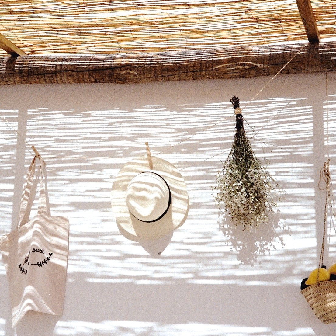 Mon bel herbier - Des Petits Hauts