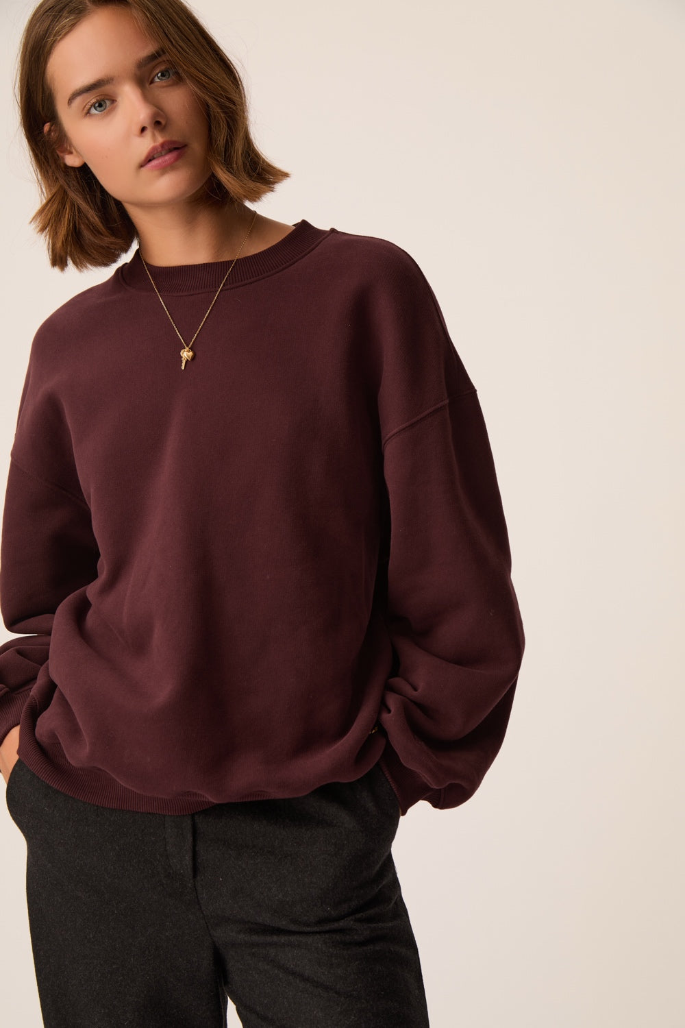 Sweat Shirt Joeme Prune
