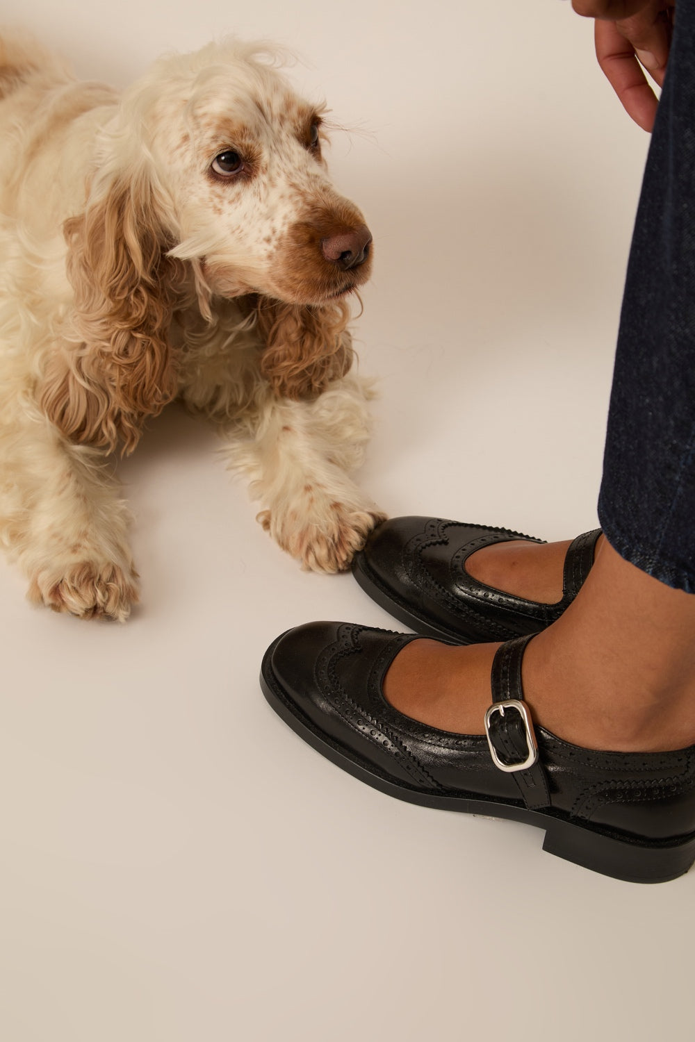 Shoes Willa Noir